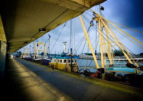 marché nieuwpoort|Fish Market